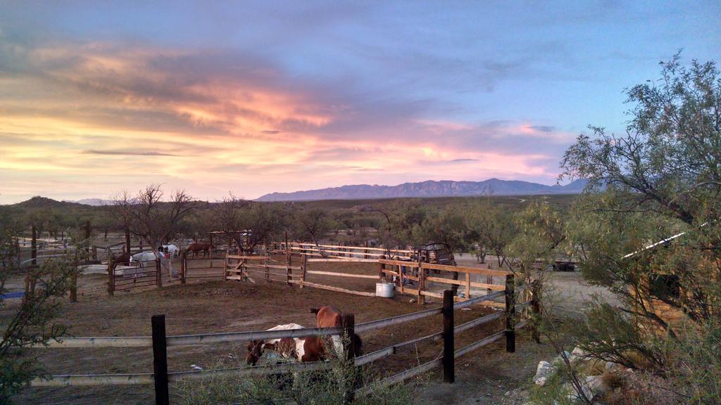 Tombstone Monument Guest Ranch Hotell Exteriör bild